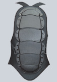 Back Protector